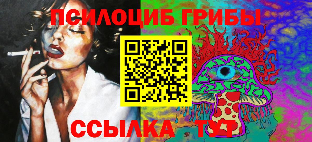 Галлюциногенные грибы MAGIC MUSHROOMS  Вход с VPN  Энгельс 
