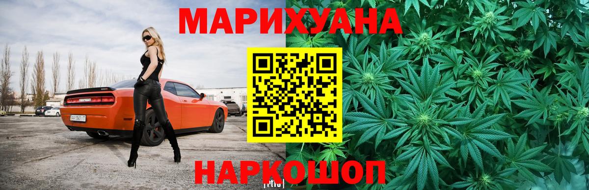 Бошки марихуана план  Вход с VPN  МАРИХУАНА план  Энгельс 